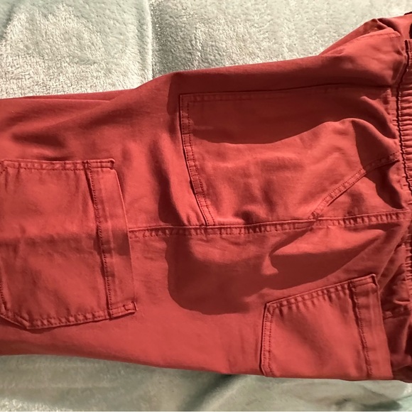 Brick Red large Cargo Pants 
T3 - Picture 3 of 14